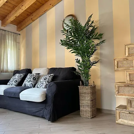 Down Town * Менаджо