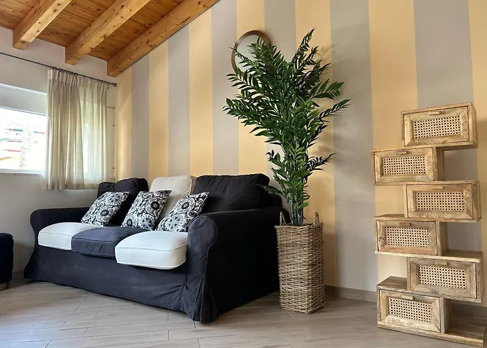 Down Town * 梅纳焦